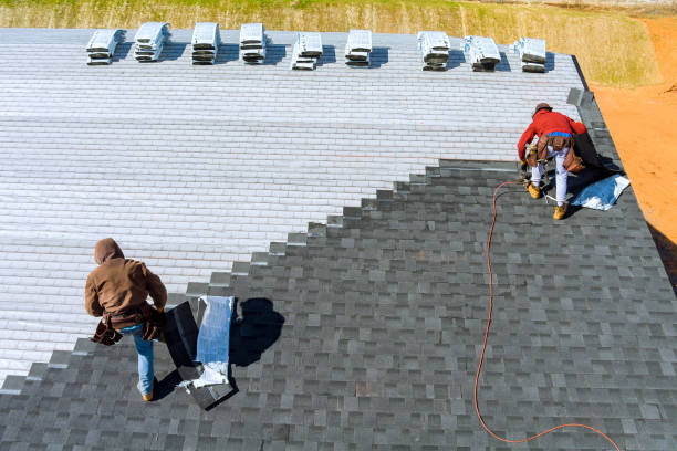 Roof Waterproofing Services in Puhi, HI