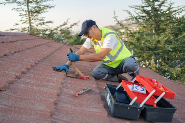 Tile Roofing Contractor in Puhi, HI