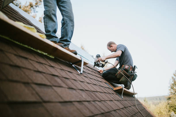 Professional Roofing Contractor in Puhi, HI